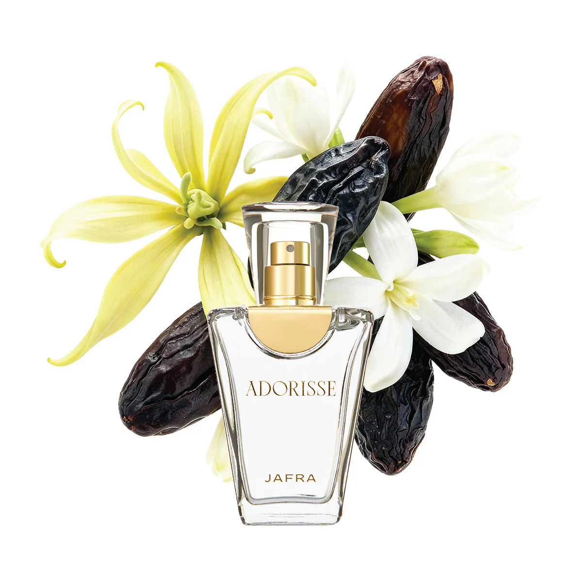 Adorisse + Gift - Image 5