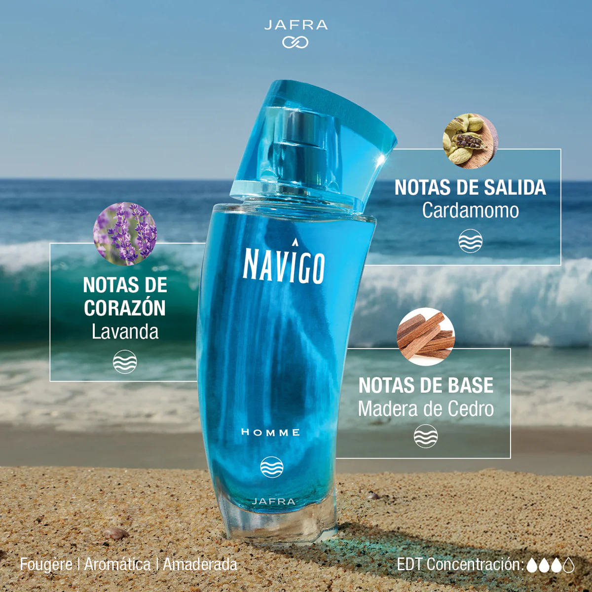 Navîgo Homme - Image 3