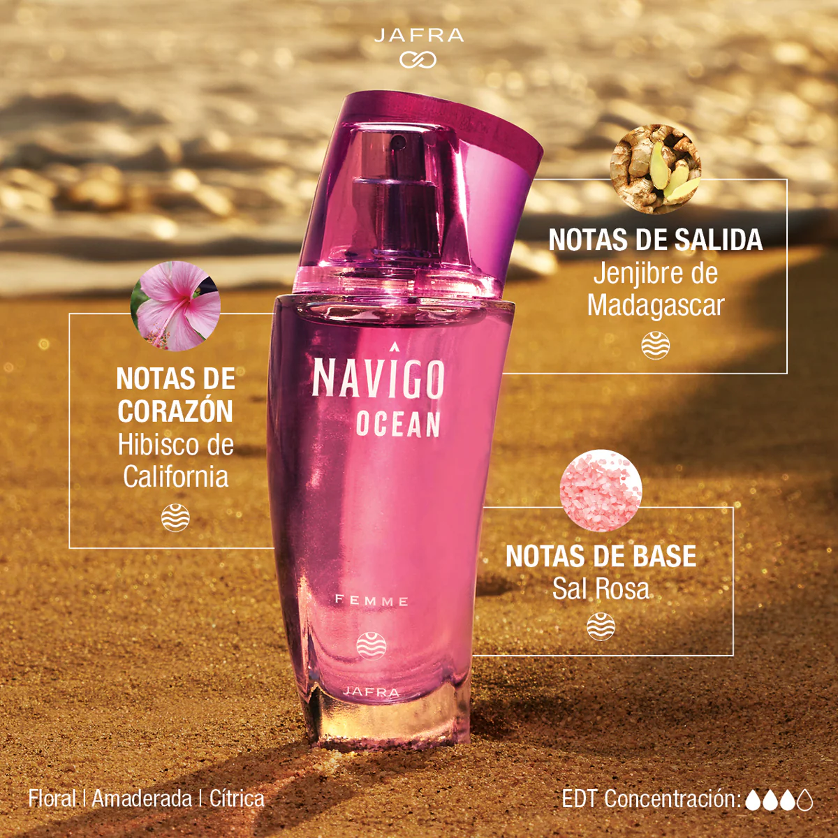 Navîgo Ocean Femme - Image 3