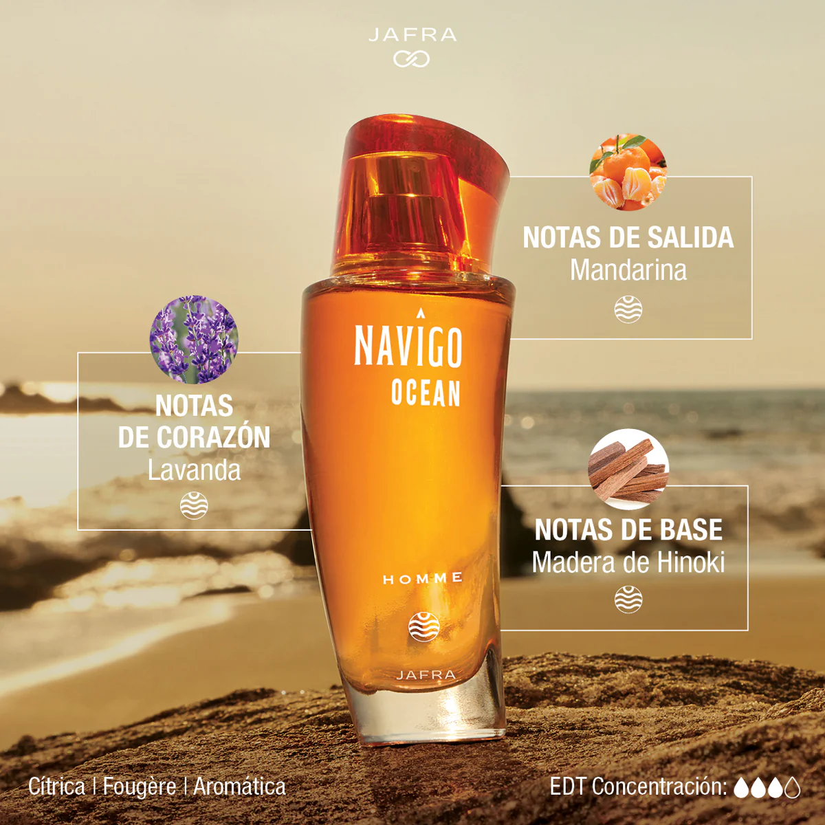 Navîgo Ocean Homme - Image 3